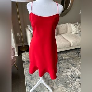 Banks Sleeveless Crepe Cocktail Sheath Dress - Size 6